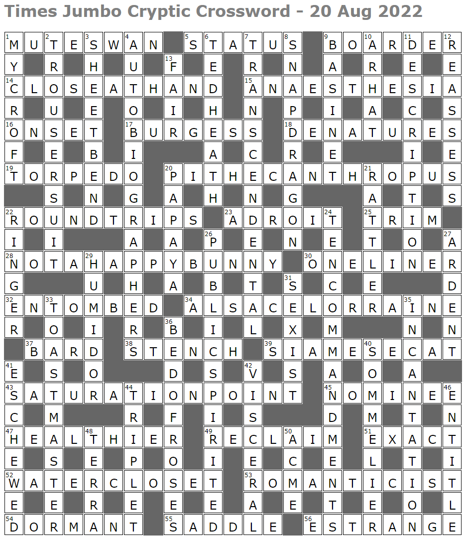 The First-Ever Cryptic Crossword Puzzle, by D.C. Maloney